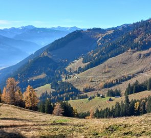 The way back to Ardningalm