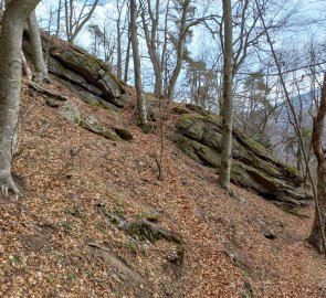 Rocks in the forest