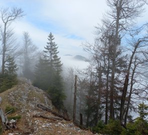 The way along the ridge - in the fog in the middle of Dürres Eck and Gaisberg