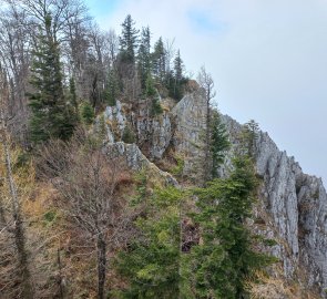 Rocks under Gaisberg