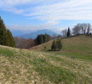 Pastviny nad Mollnerhütte