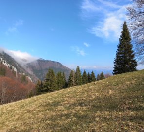 View towards Schoberstein