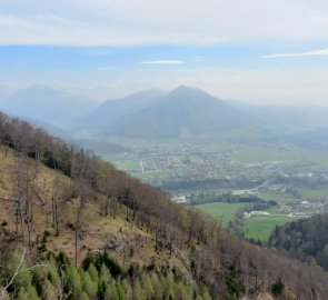 View from the forest hut