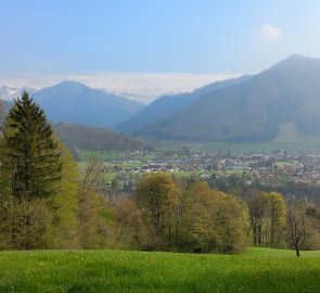 Molln from the edge of the forest