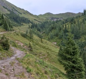 The road above the cottage