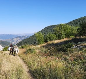 Trail from the village