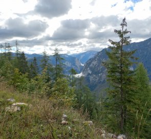 Moment from the ascent through the forest