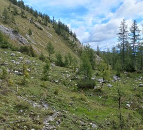 Above the tree line