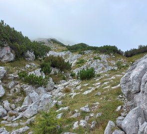 Rocks below the peak