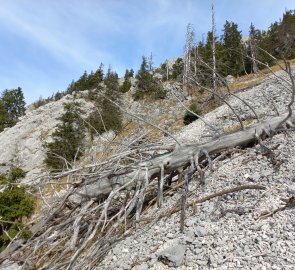 Debris field under the Pyramide peak