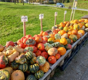 Pumpkin shop on the road to Klaus