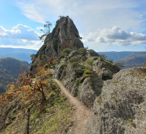 Vogelbergsteig