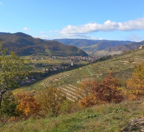 Pohled přes vinice na Dürnstein