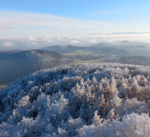 Pohled z rozhledny zpět na Lückendorf