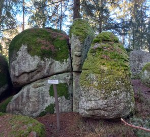 Elefantenstein - Slon