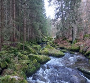 River Kamp below the castle