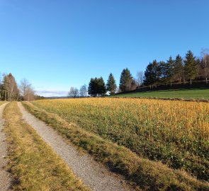 Field above the village