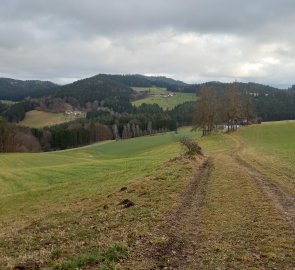 The road from Buchberg to Sattlerberg