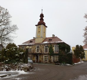 Petrovice - square and castle