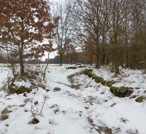 Back to the blue hiking trail