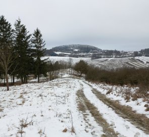 Kuníček on the horizon