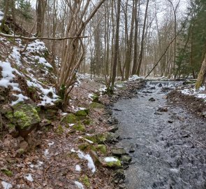 Path along the creek