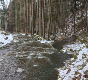 Start of the trail behind the Upper Mill