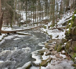 Cesta údolím Doubravy