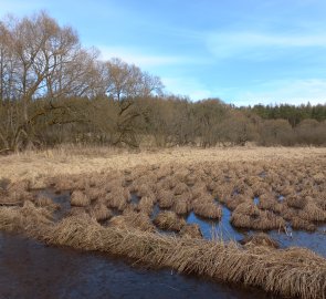 Frozen casts on waterlogged meadows