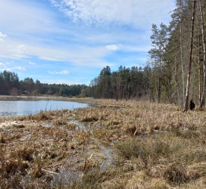 Novomlýnský pond