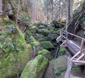 Above the falls, the creek disappears under the rocks