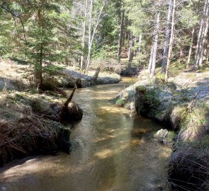 Meandering Lohnbach