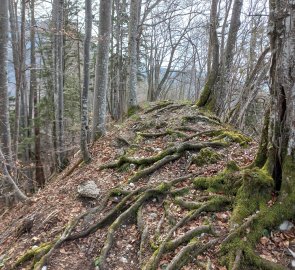 Beginning of the ridge hike