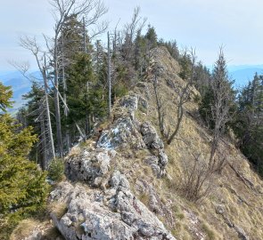 Walking along the ridge to Schieferstein