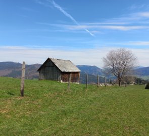 Spring meadows behind Gscheid