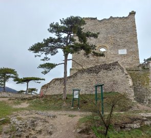 Burgruine Mödling