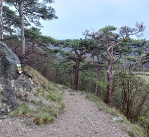 The road from the castle