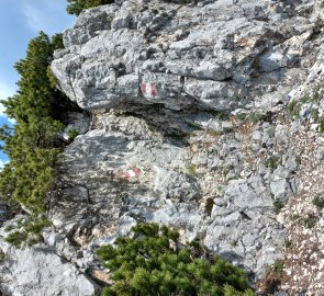 Climbing over rockeries