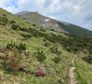 Under Almkogel