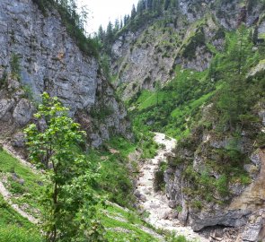 Grimming Stream Canyon