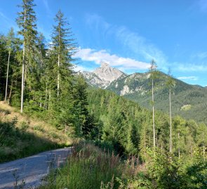 The forest path at the beginning of the route and the view of Kl. Buchstein