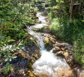 Stream Mühlbach