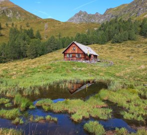 Alm under Mount Karnereck