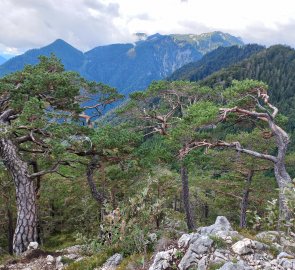 Descent, Feuerkogel in the distance