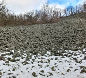 Stone field at Plešivec