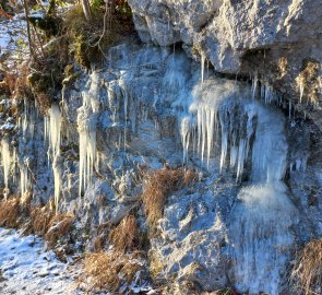 The frost casts its spell