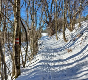 The trail leads along footpaths