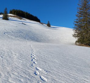 The plains behind the Weissalm