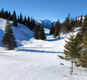 Views of the Hochschwab