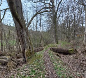 The path along the embankment of the Šelmberský mill